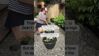 Built different… apparently 😅🌿#relatable #hardworking #gardening #fyp #viral