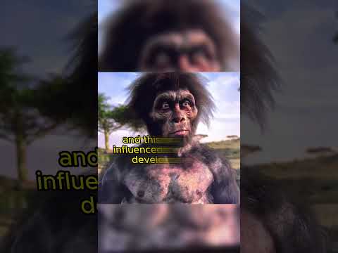 DMT and Brain Development: The Psychedelic Ape Theory | Strange facts you never knew #shorts