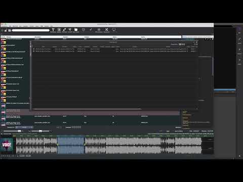 Quick transfer to the AVID Media Composer from PLUS 64x