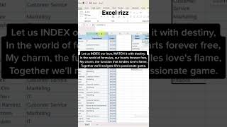Excel Enchantment: Celebrating the Magic of Spreadsheets#excel #cheatsheet #excel #excelrizz