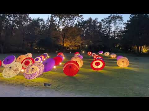 昭和記念公園の【秋の夜散歩】2020 ライトアップに行ってきました！