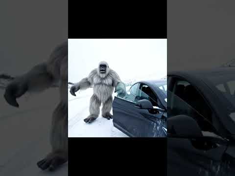 Finding a Tesla - Yeti Vlog #tesla