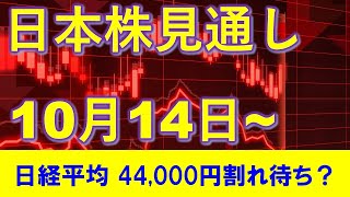 日本株見通し 10月14日～ 市場大荒れ！日経平均は44,000円割れを待つ！？