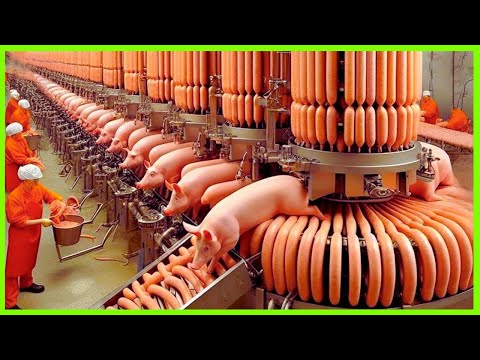 Mind-Blowing Food Processing Machines: The Future is Here ▶ 1