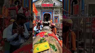 Mera kedara 🙏♥️🚩🔱 #shiv #kedarnath #harharshambhushivamahadeva #harharmahadev #har #kedarnathtemple