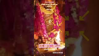 महाकाल जी के साक्षात दर्शन बोलो महाकाल की जय, एकादशी महापर्व #mahadev #bholenath #matarani #believe