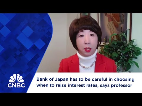 Bank of Japan has to be careful in choosing when to raise interest rates, says professor