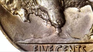 The Three Legged Buffalo Nickel