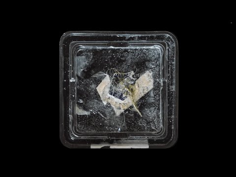 RIVER NET part 1 (extract)