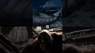 Gigantopithecus VS Jaekelopterus