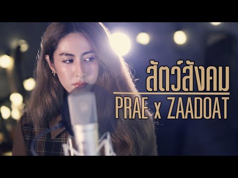 สัตว์สังคม - เมืองแมน Prae x ZaadOat Cover