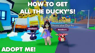 HOW to get all the RUBBER DUCKY'S in Adopt me!