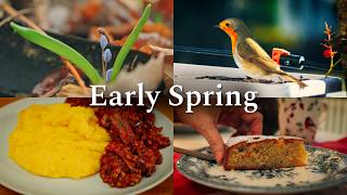 #36 Quiet Early Spring Vlog & A Simple Northern Dinner