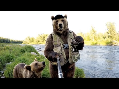 The Fishing Bear Show - Episode 1
