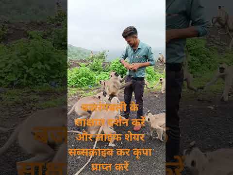 #animallove #new #viralreels #instagram #BolBam #Sitaram #Bajrangbali#Hanuman chalisa #Kesari ke Lal