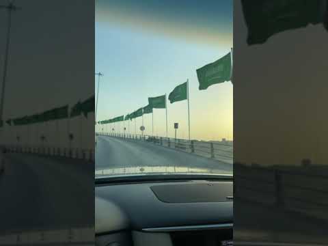 Riyadh National Day Celebration | Riyadh Exit 13 | Green Flags | #shorts |