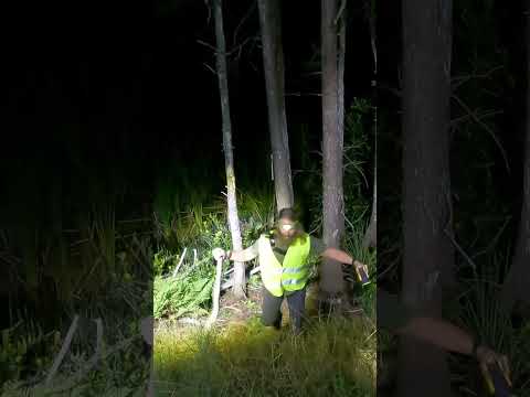 Catching a PYTHON in the Everglades!