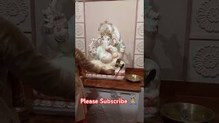 Ganesh Harathi #ytshorts #hindudeity #song #devotionalsongs #hindugod #shorts #travel #shiv #love