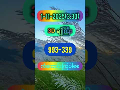 #3d #thai3d#ချဲ