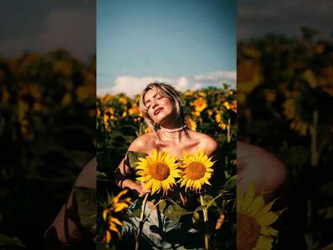 Sunflower Heliotropism! #sunflower  #naturefacts