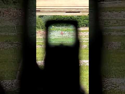 22lr Pistol Long Range POV