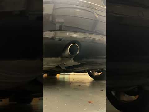 Audi A8 D3 4.2 V8 Gas Exhaust Sound, Engine Rev