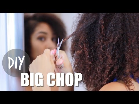 DIY Big Chop 2016 | Cutting Off My Heat Damage