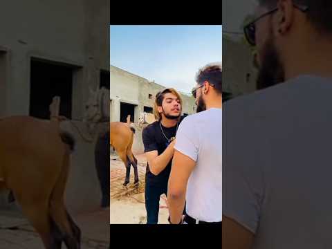Ali jutt attitude #youtubeshort #funny #shortsfeed