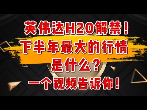 稳定币龙头CRCL大涨近10%！英伟达重大利好解禁H20！资金狂买成长股逻辑是什么？这一波行情还能上车吗？NVDA,MSFT,META,GOOGLE,TESLA,PLTR,HIMS.#crypto
