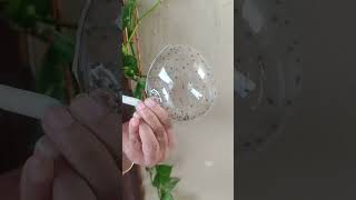 mustardseeds in nanotape#nanotape#shortaday #youtubeshorts #ytshorts #diy #hack # #newhack #shorts