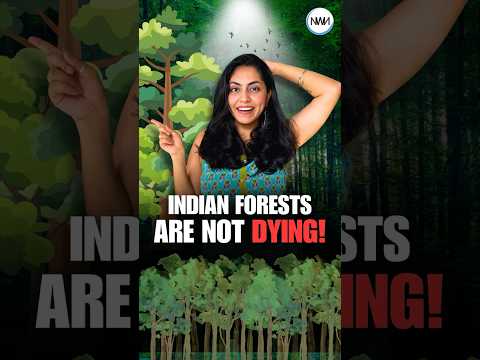 Shocking Forest Growth Stats in India’s Forest Report 2023! #shorts