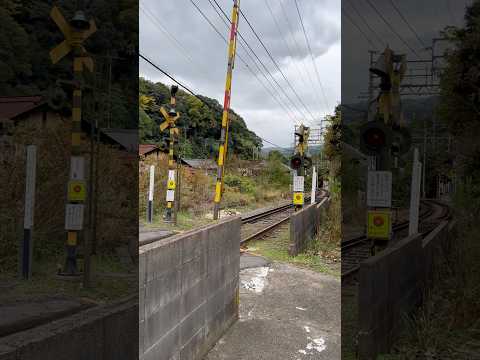 先が行き止まり+背が低い警報器がある踏切（近鉄生駒線　元山上口第四号踏切） #shorts