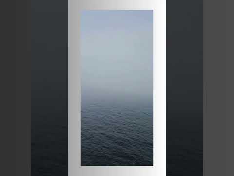 Beyond the Fog, Part 1  #satire #suspense #darkcomedy #fog #thriller #cruise