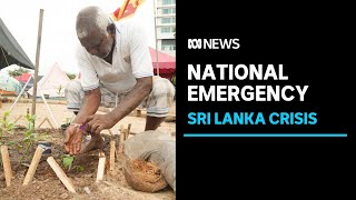 Sri Lanka's economic crisis has turned into a national emergency | ABC News