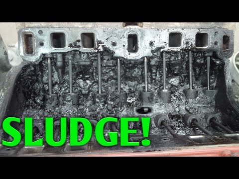 Regular oil changes? The engine doesn't lie! ($50 260 Olds)