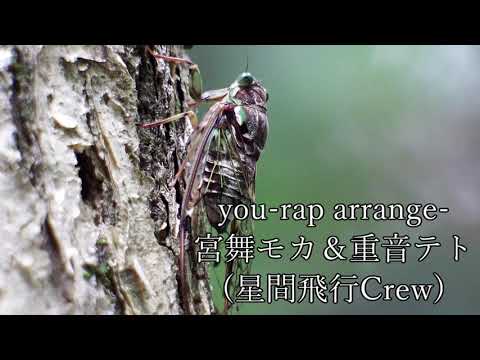 you-rap arrange-(星間飛行Crew) / はがね てとら, 星