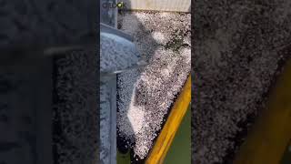 OiLock PPTH-1 Granules: Efficient Solution for Oil Spill Treatment on Water Surfaces