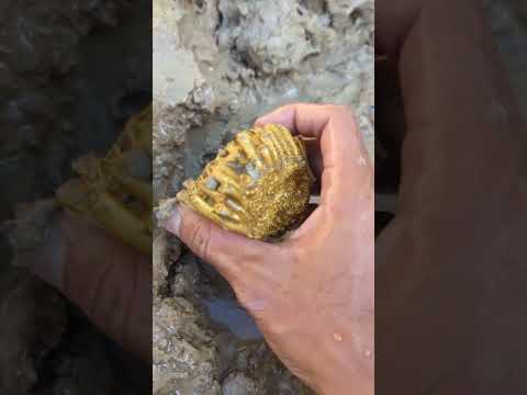 wow beautiful gold found in this river #goldhunter