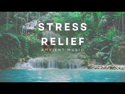Stress Relief Ambient Music | Deep Calm for Anxiety, Sleep, and Focus
