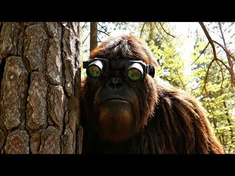 Bigfoot's Wild Adventures Ep. 1 Shrooms, Spies, and Stealing