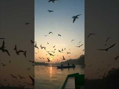 غروب ہونے کا مطلب زوال تھوری ہے🥀💯🙃#youtubeshorts #trending #youtubevideos #like #subscribe