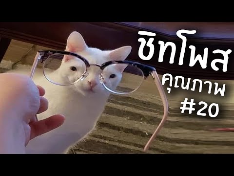 ชิทโพสเค็มๆ 20 | Reddit Review #51