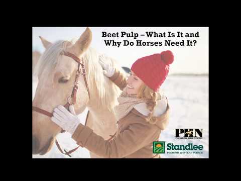 What is Beet Pulp?