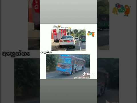මූ යකූ ❤️‍🔥😂 #busdjmusic #srilanka #dj #sinhaladj2022sinhaladjnonstop20222022newsongdjnewdjnonstop