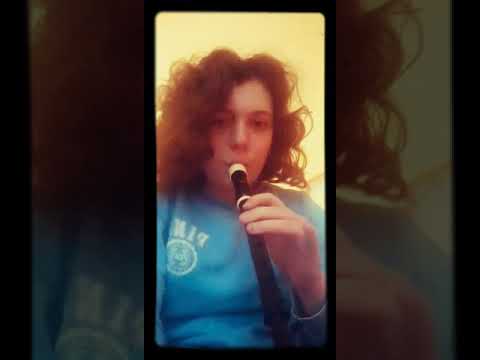 John Cena music played badly on a recorder