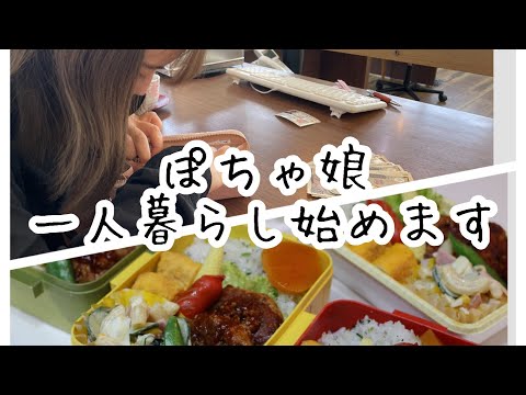 ぽちゃ娘の引越し弁当