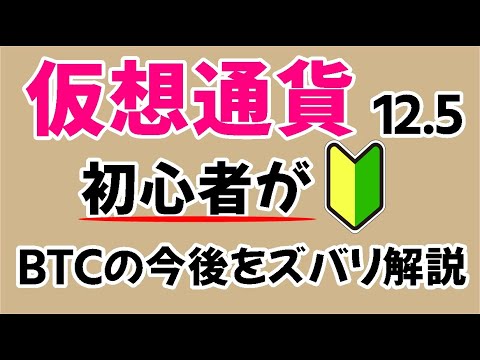 『仮想通貨』初心者がビットコインの今後を解説【BTCは40000ドル割れます】