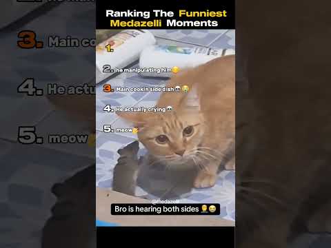 Ranking The Funniest Medazelli Moments😭