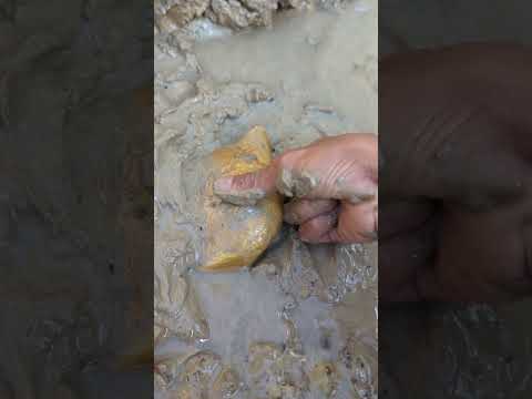 looking for big gold in the forest #goldhunter #minergold