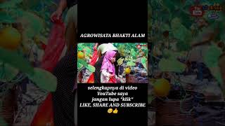 Agrowisata Bhakti Alam
